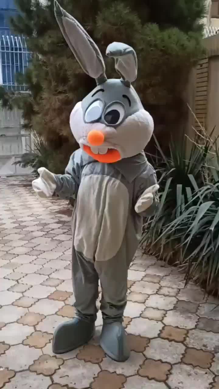 تولید تن پوش عروسکی و اجرای عروسکی عروسک تن پوشی|اسباب‌بازی بچه|مشهد, عبادی|دیوار