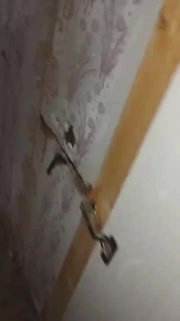 سمپاشی موریانه زدایی باضمانت بلند مدت|خدمات نظافت|سوسنگرد, |دیوار