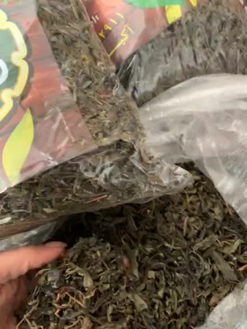 چای سبز|خوردنی و آشامیدنی|زرندیه, |دیوار