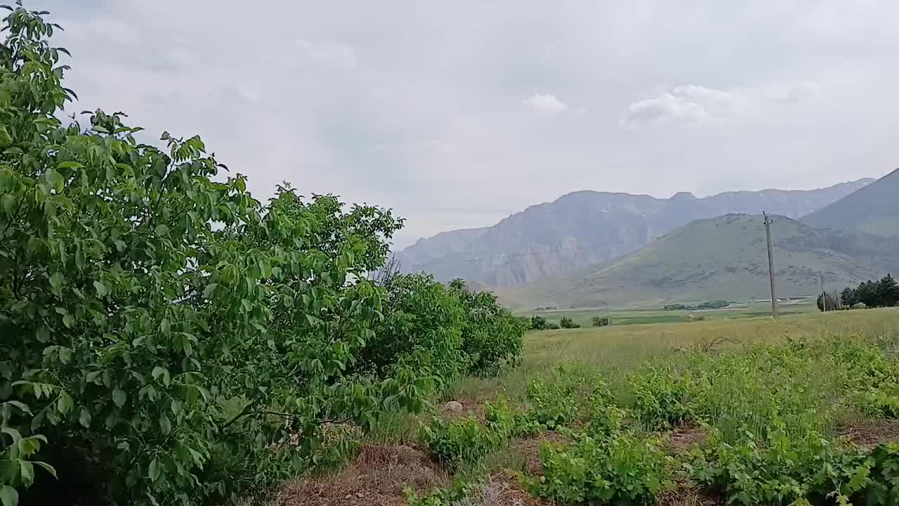 فروش باغ گردو|فروش دفتر صنعتی، کشاورزی، تجاری|بیستون, |دیوار