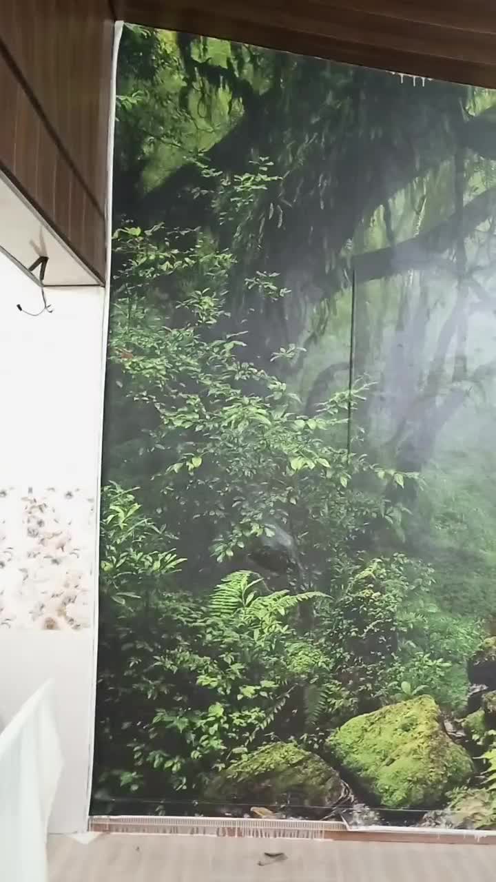 نصب وفروش کاغذدیواری وپوستر|خدمات پیشه و مهارت|بندر انزلی, تختی|دیوار