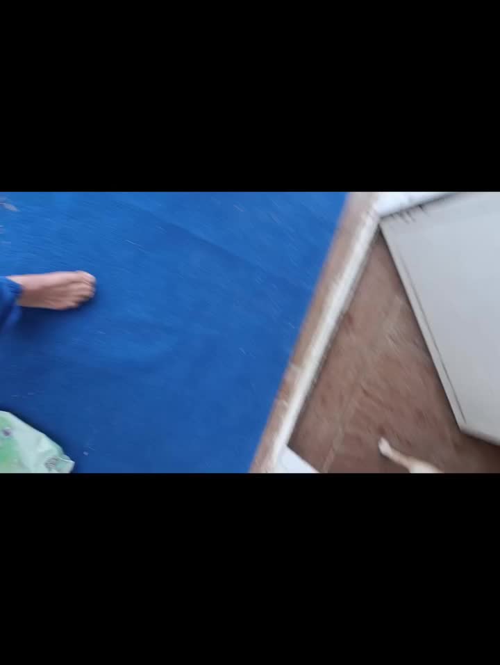 سگ پاکوتاه|سگ|نیشابور, رحمت آباد|دیوار