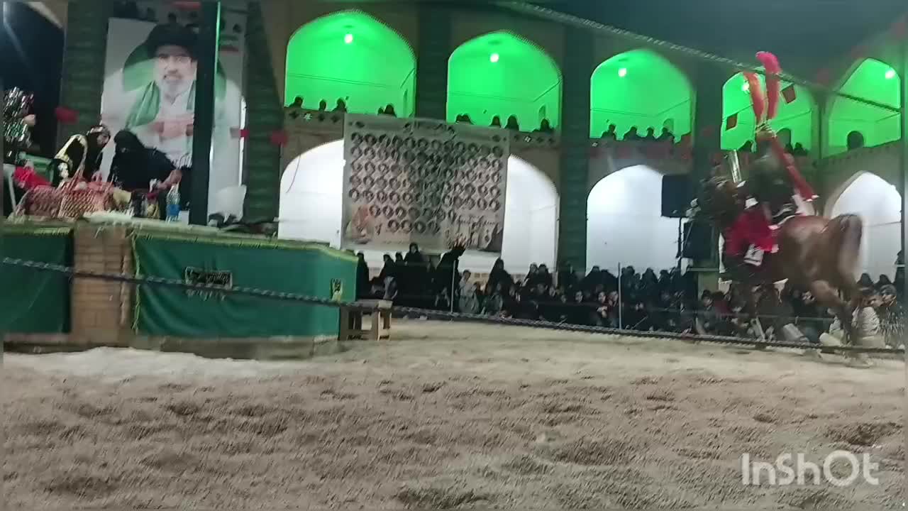 اسب عرب|اسب و تجهیزات اسبسواری|عقدا, |دیوار