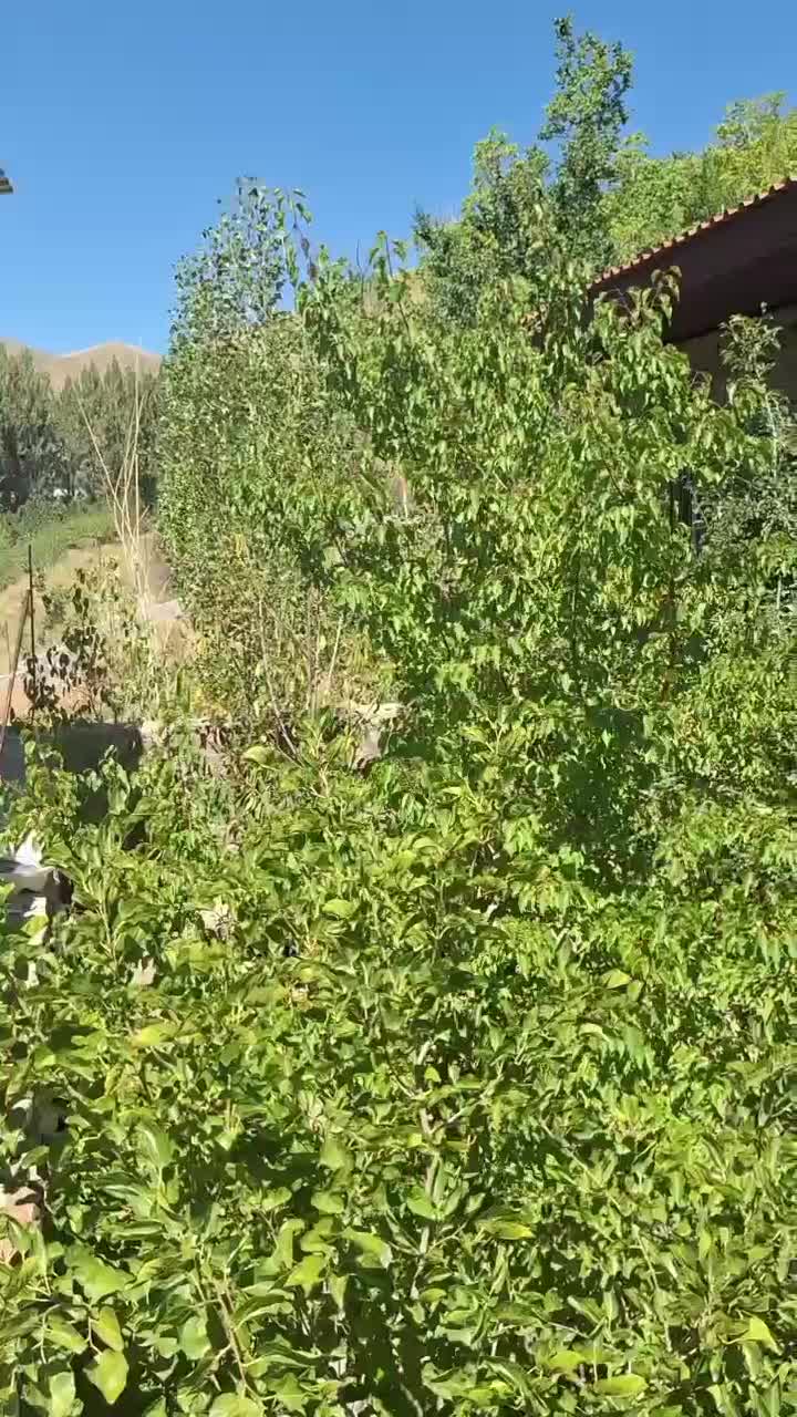 ویلای نقلی ۱۵۰ متری / سند تک برگ / روستای لالان|فروش خانه و ویلا|فشم, |دیوار