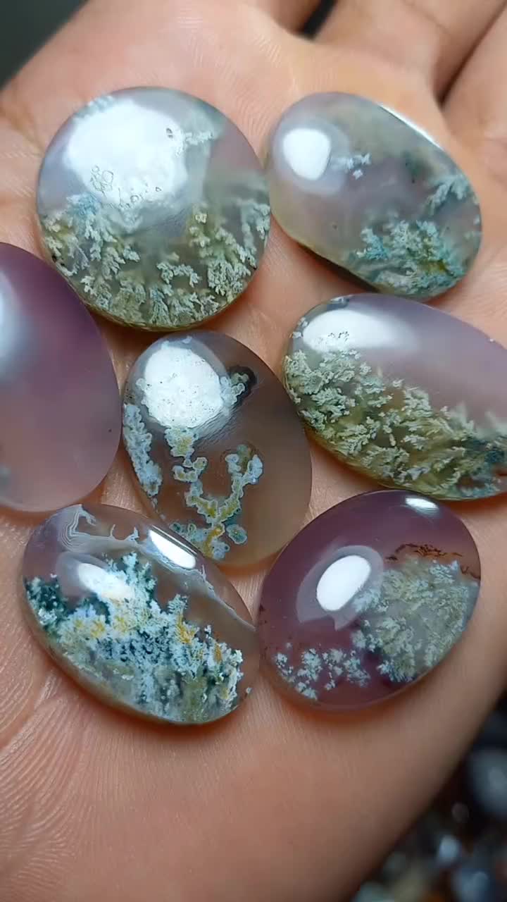 مجموعه ۷عددی  شجر شکوفه فردوس|جواهرات|آیسک, |دیوار