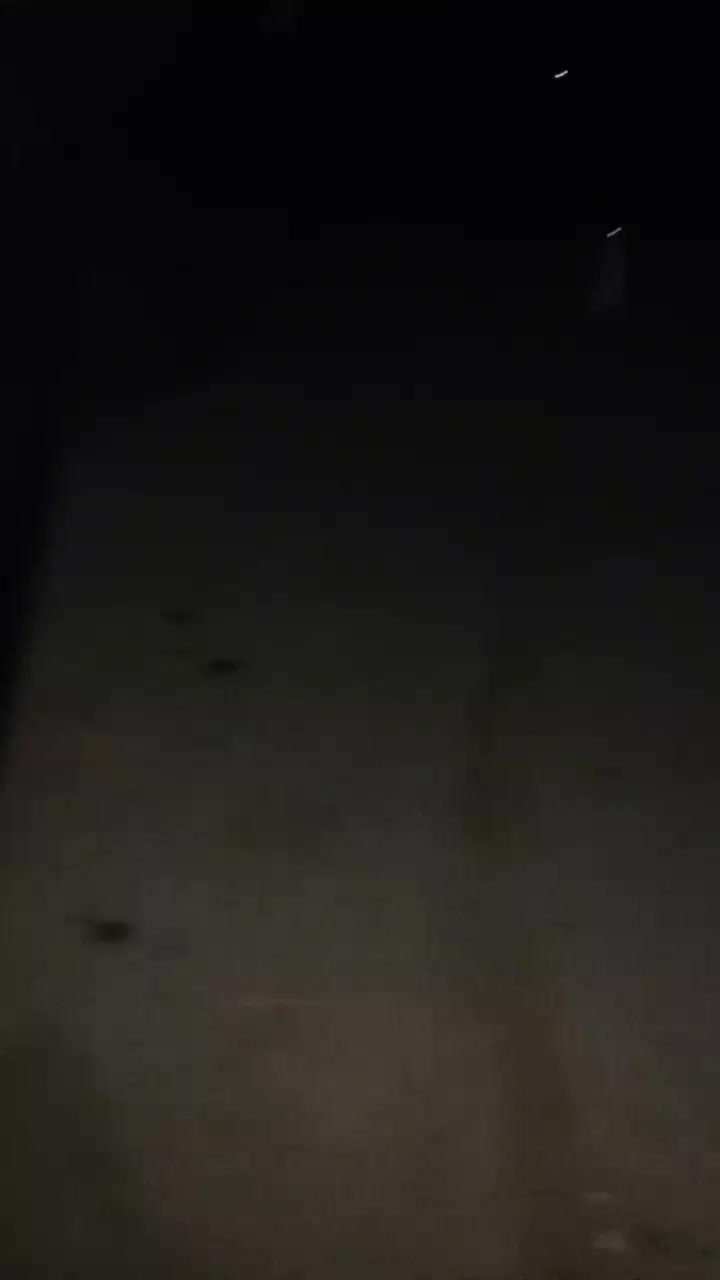 واگذاری|سگ|شیروان (خراسان), |دیوار