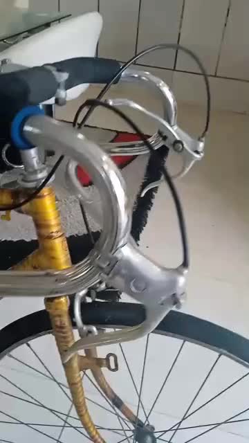 دوچرخه کورسی کلکسیونی کالخوف آلمان درحدنو|دوچرخه، اسکیت، اسکوتر|اصفهان, گلستان|دیوار