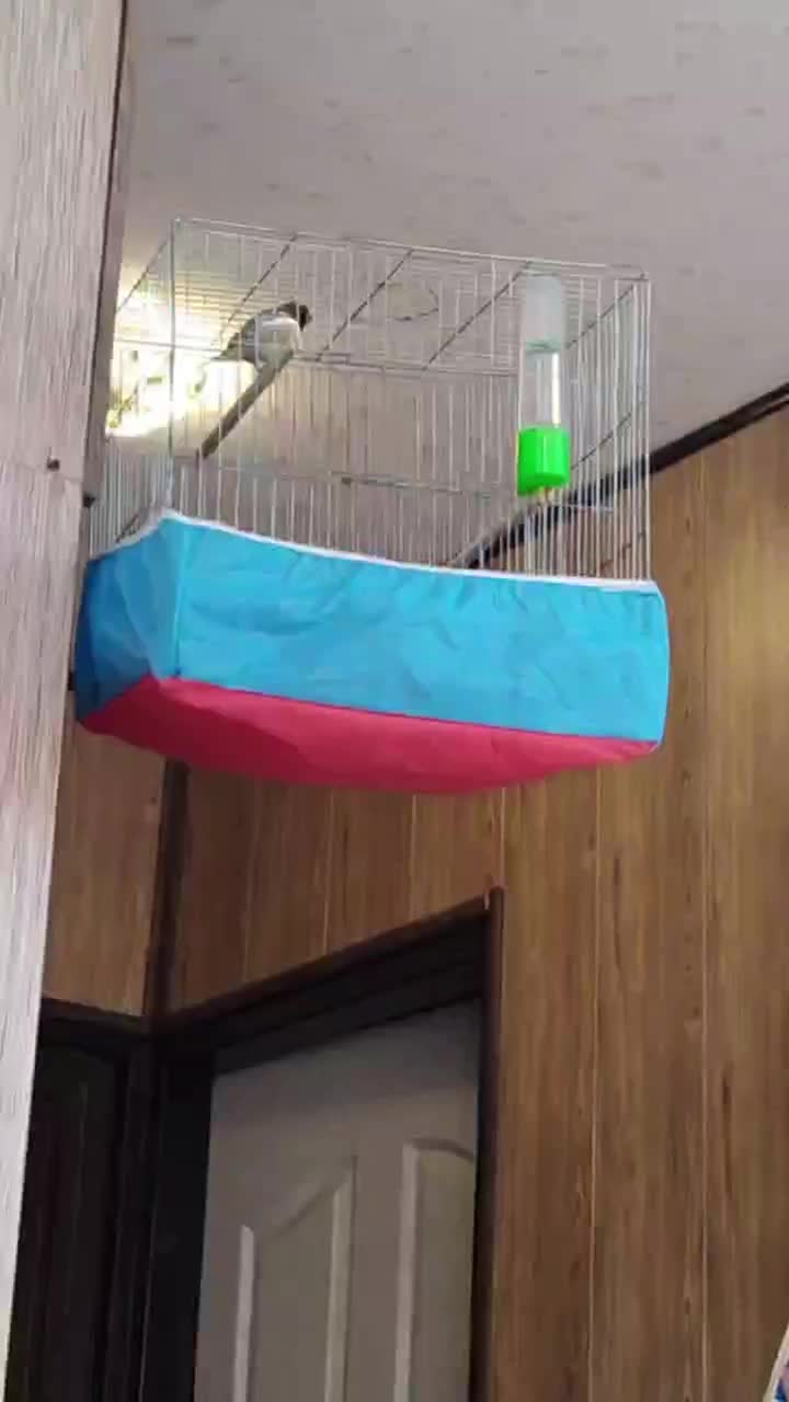 گلبسر مست|پرنده|شاهینشهر, مسکن مهر|دیوار