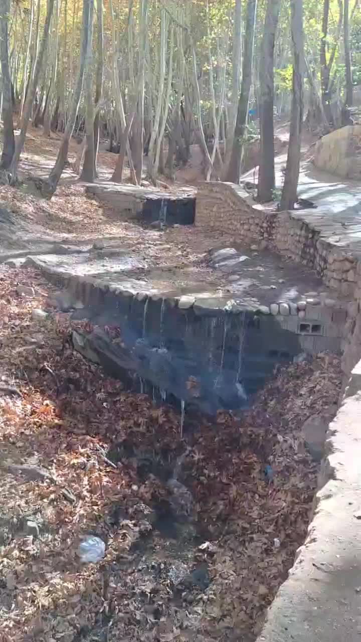 تور یکروزه جنگل زیبای پروز|تور و چارتر|اصفهان, ارغوانیه|دیوار