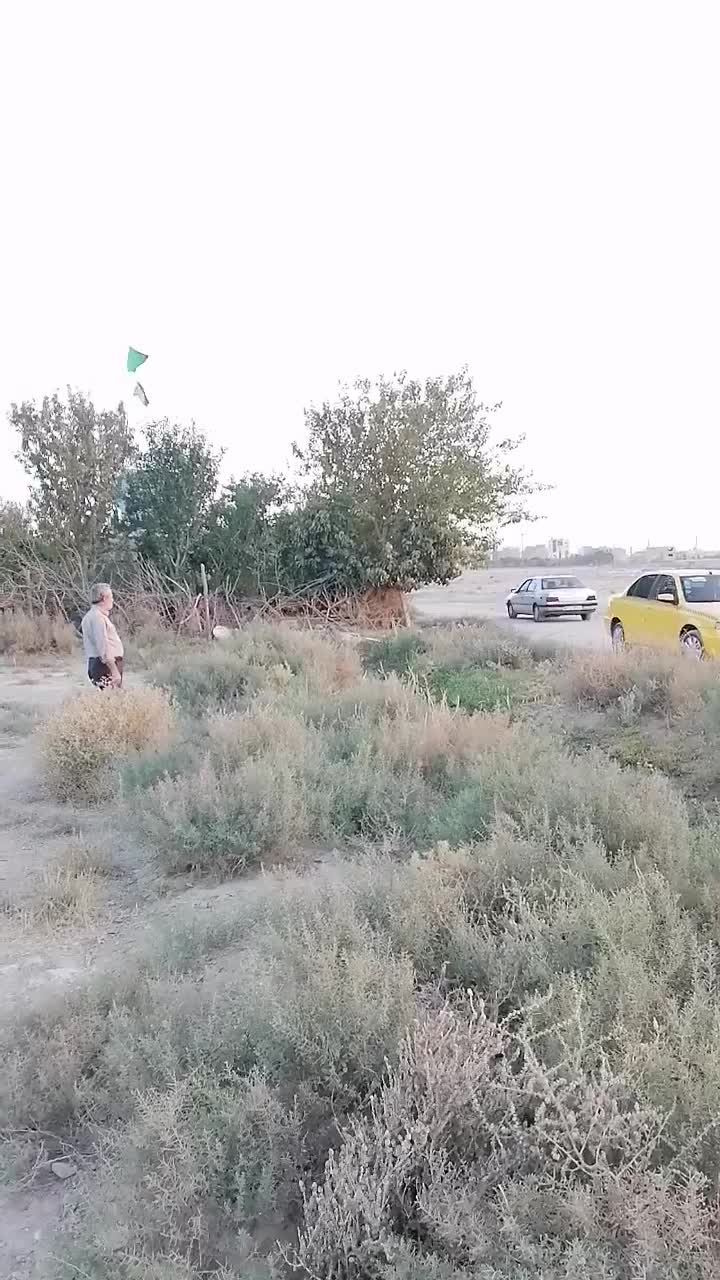 زمین کشاورزی|فروش دفتر صنعتی، کشاورزی، تجاری|رباط‌کریم, رباط‌کریم|دیوار