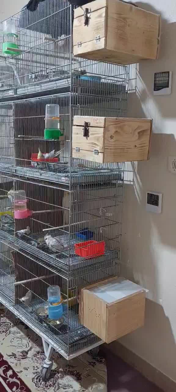 قفس بزرگ دست ساز|لوازم جانبی حیوانات|شاهینشهر, شهرک گلدیس|دیوار