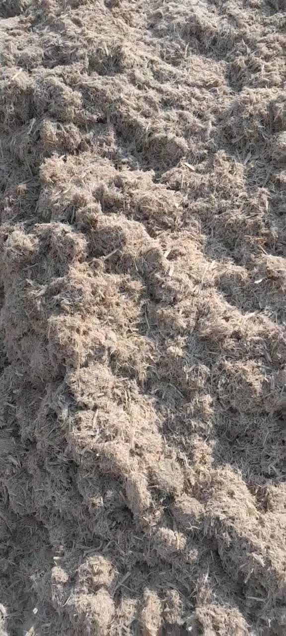 توفاله نیشکر|حیوانات مزرعه|بوئین زهرا, |دیوار