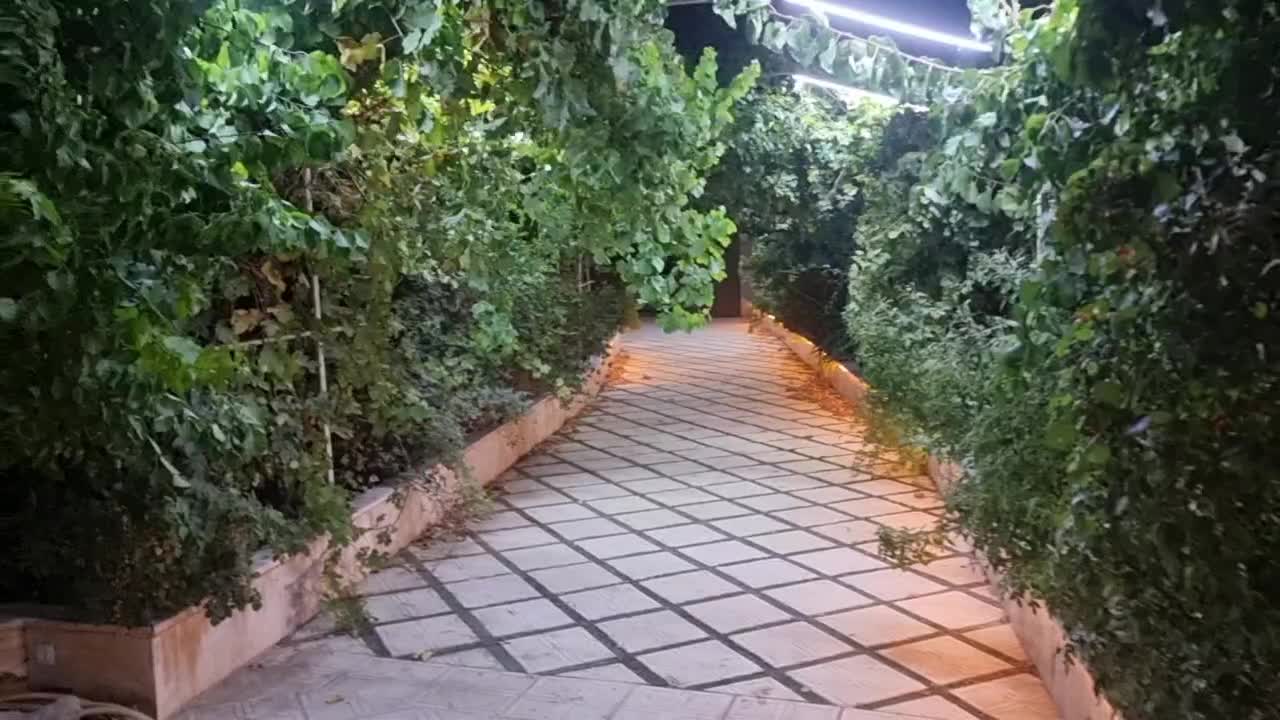 باغچه خونه باغ ۵۷۰متری تک خواب|فروش خانه و ویلا|تهران, عبدل‌آباد|دیوار