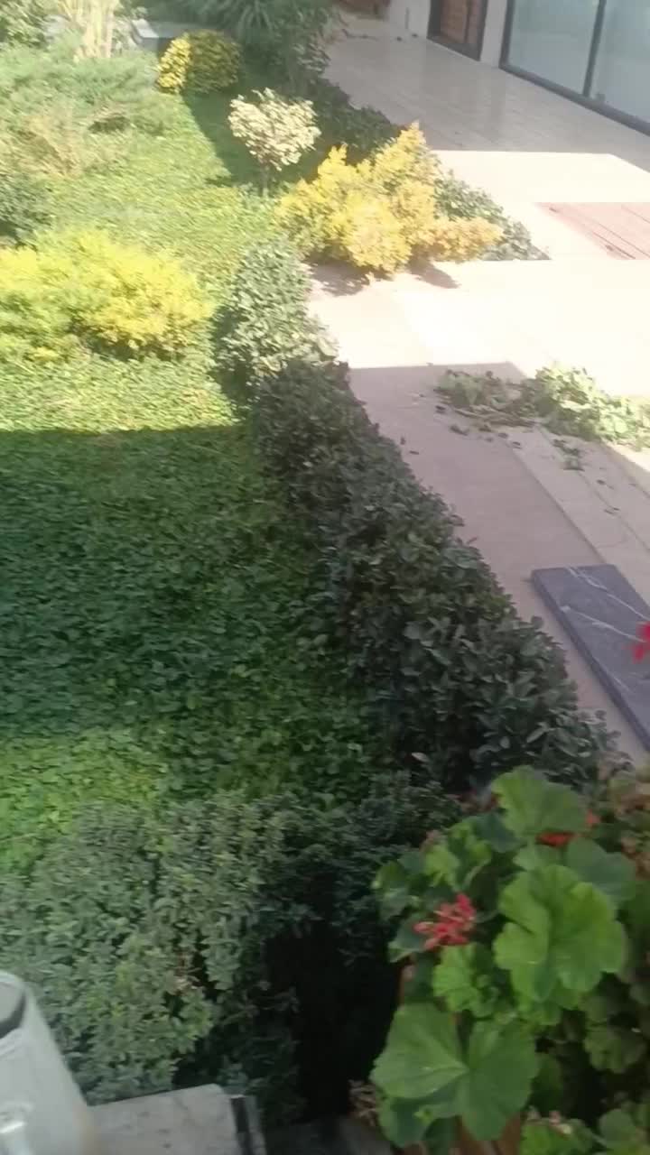 طراح و مجری فضای سبز خارجی و داخلی|خدمات باغبانی و درختکاری|اصفهان, ارغوانیه|دیوار