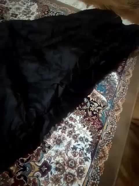 کیسه خواب|کوهنوردی و کمپینگ|حنا, |دیوار