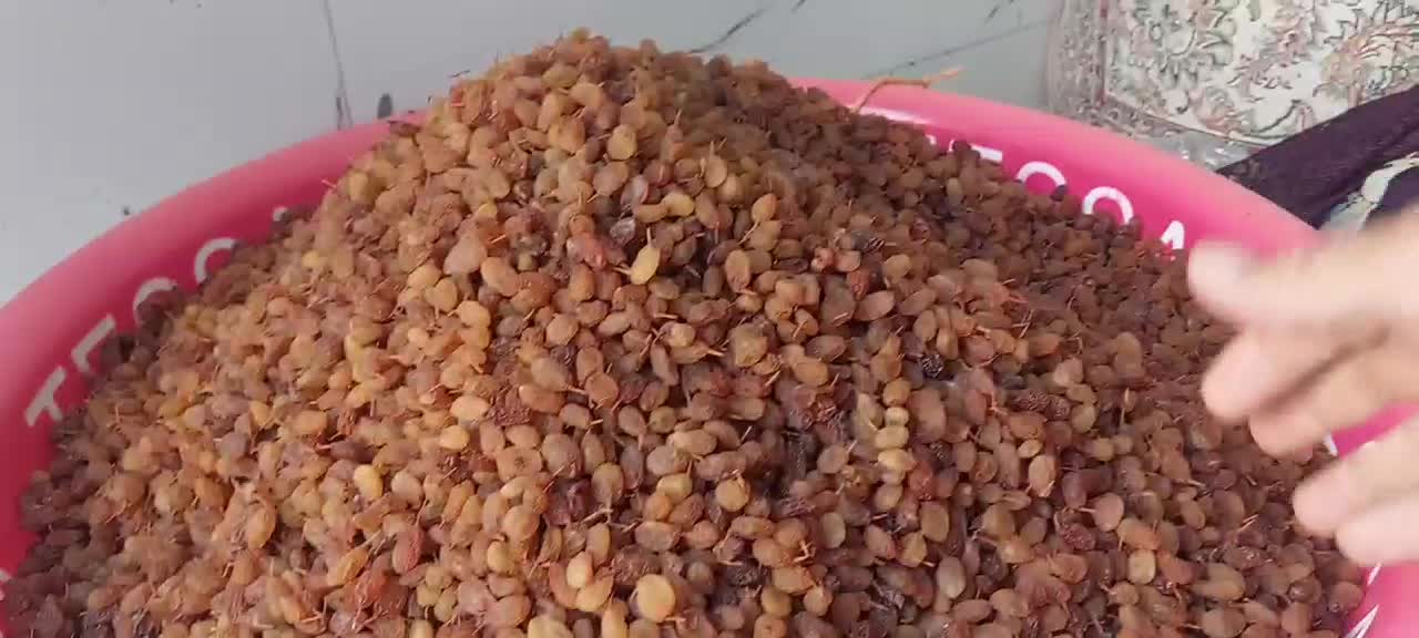 کشمش بی دانه درجه یک تازه سال|خوردنی و آشامیدنی|کامیاران, |دیوار