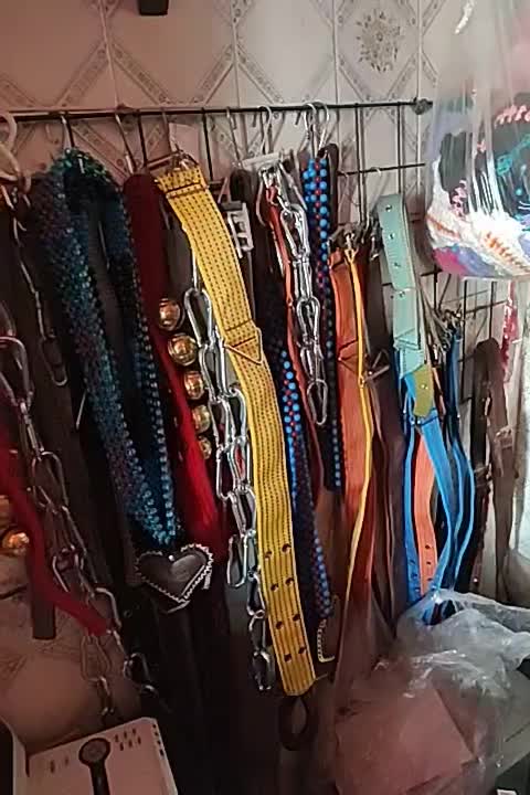 خوراک و دان حیوانات خانگی|لوازم جانبی حیوانات|کرمانشاه, |دیوار