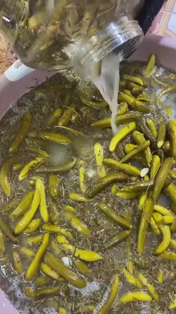 1233654|خوردنی و آشامیدنی|بابا حیدر, |دیوار