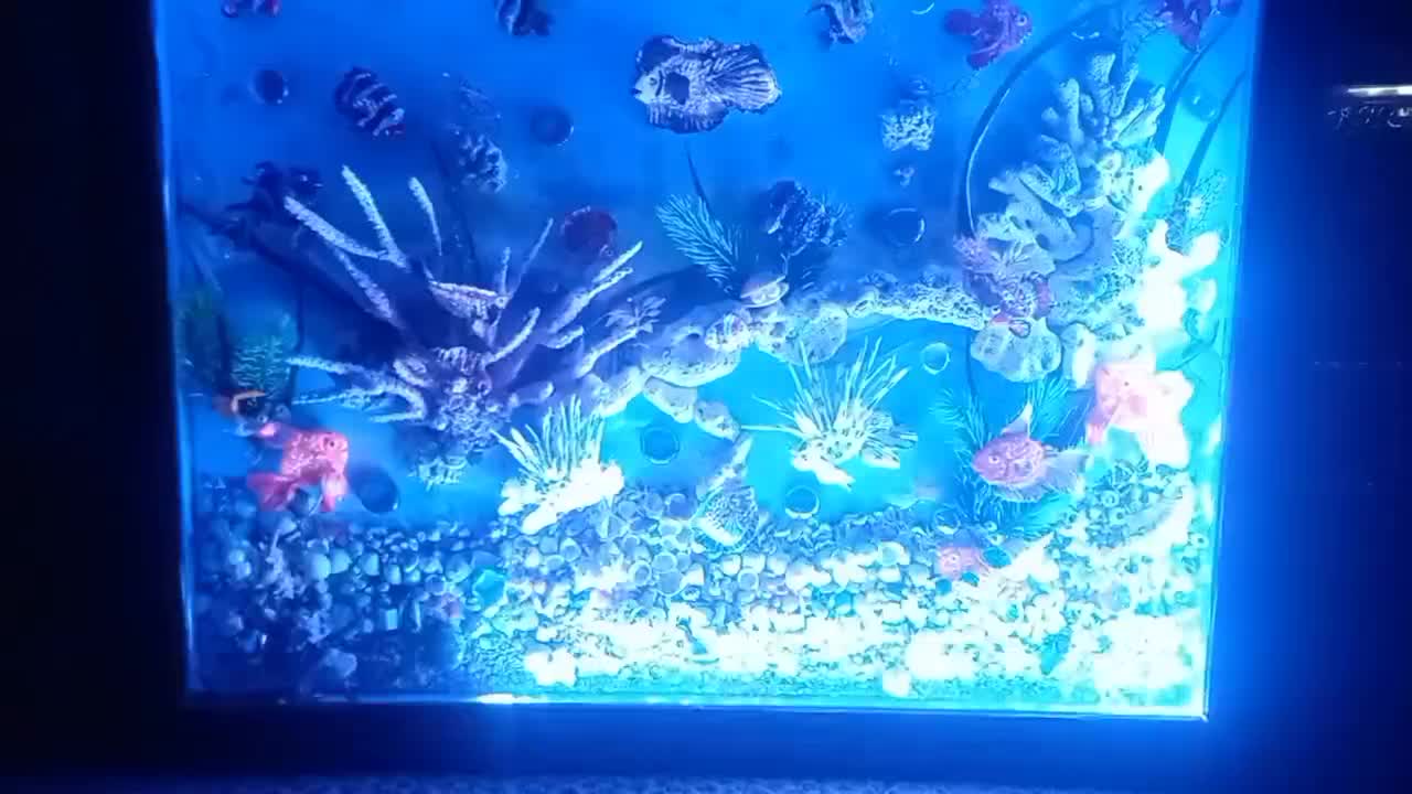 تابلو|صنایع دستی و سایر لوازم تزئینی|اراک, |دیوار