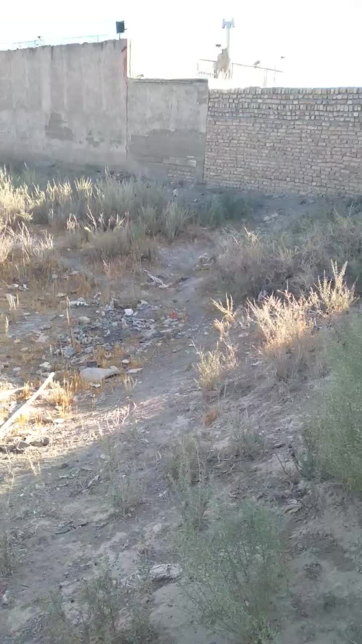 زمین مسکونی سند تک برگ دار سبز ،انشعابات اماده|فروش زمین و ملک کلنگی|بشاریات, |دیوار