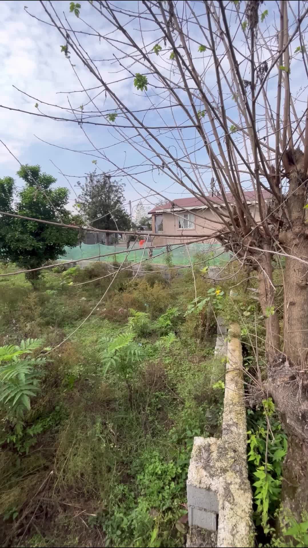 ۲۰۰ متر مسکونی روستایی|فروش زمین و ملک کلنگی|سیاهکل, |دیوار