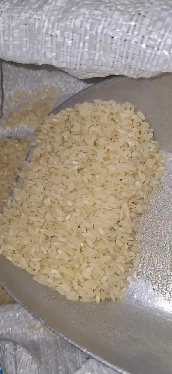 برنج اصل کامفیروز به شرط پخت|خوردنی و آشامیدنی|شیراز, گلشن|دیوار