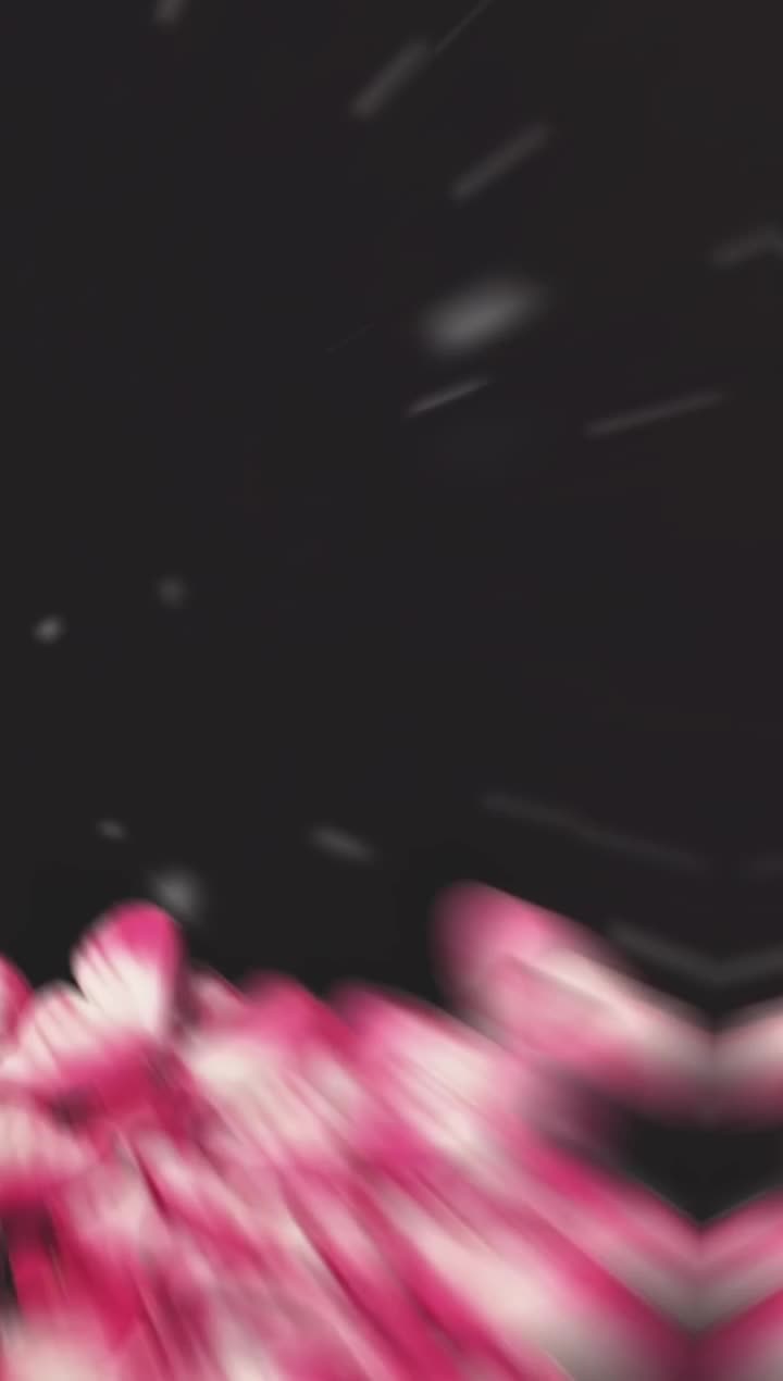 دسته گل های ربانی و پروانه ای|گل مصنوعی|تربتحیدریه, نواب صفوی|دیوار