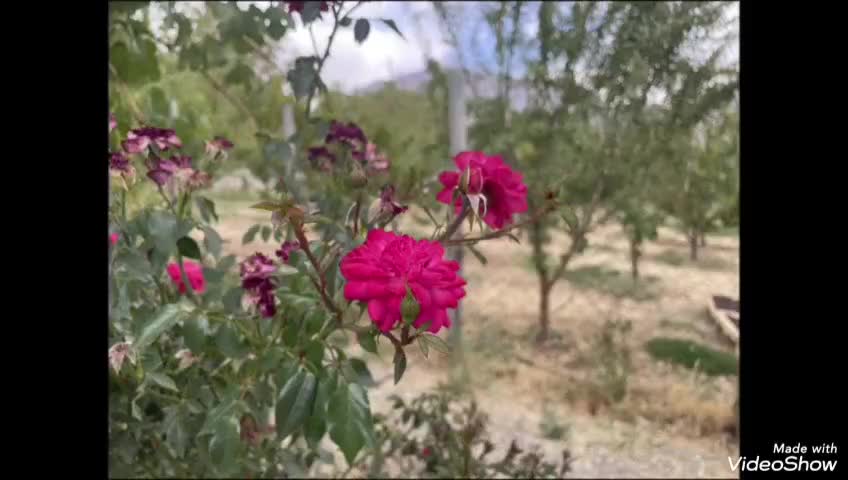 باغ شهری سی سخت امتیاز آب وبرق وگاز|فروش زمین و ملک کلنگی|سی‌سخت, |دیوار
