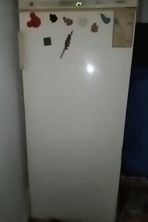 فریزر آزمایش قدیمی سالم|یخچال و فریزر|خمام, |دیوار