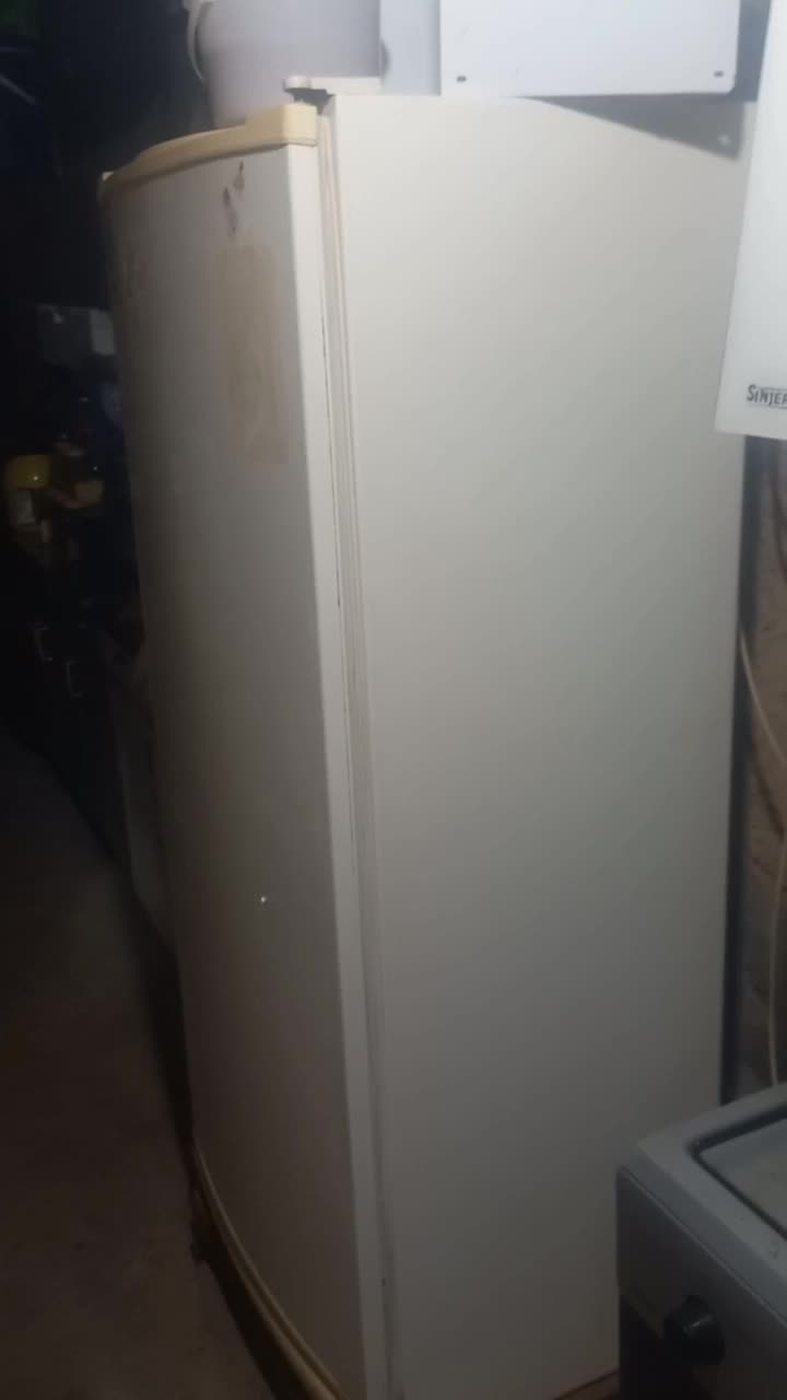 دو یخچال|یخچال و فریزر|بیستون, |دیوار