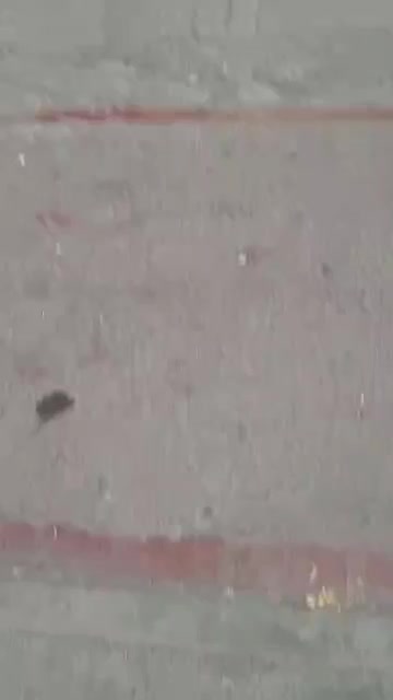 واگذاری مغازه شوینده وبهداشتی|اجارهٔ مغازه و غرفه|تهران, کیانشهر|دیوار