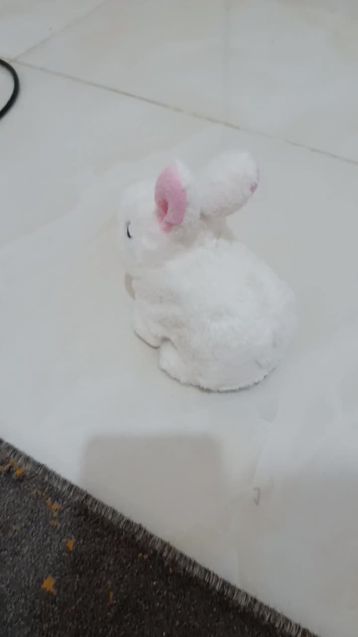 ماشین وخرگوش باطری خور قیمت تکی۲۲۰|اسباببازی بچه|گرگان, |دیوار