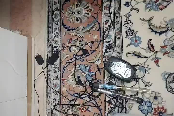 اکواریم شرکتی ۸۰ سانت (خم)|ماهی|تهران, شهرک محلاتی|دیوار