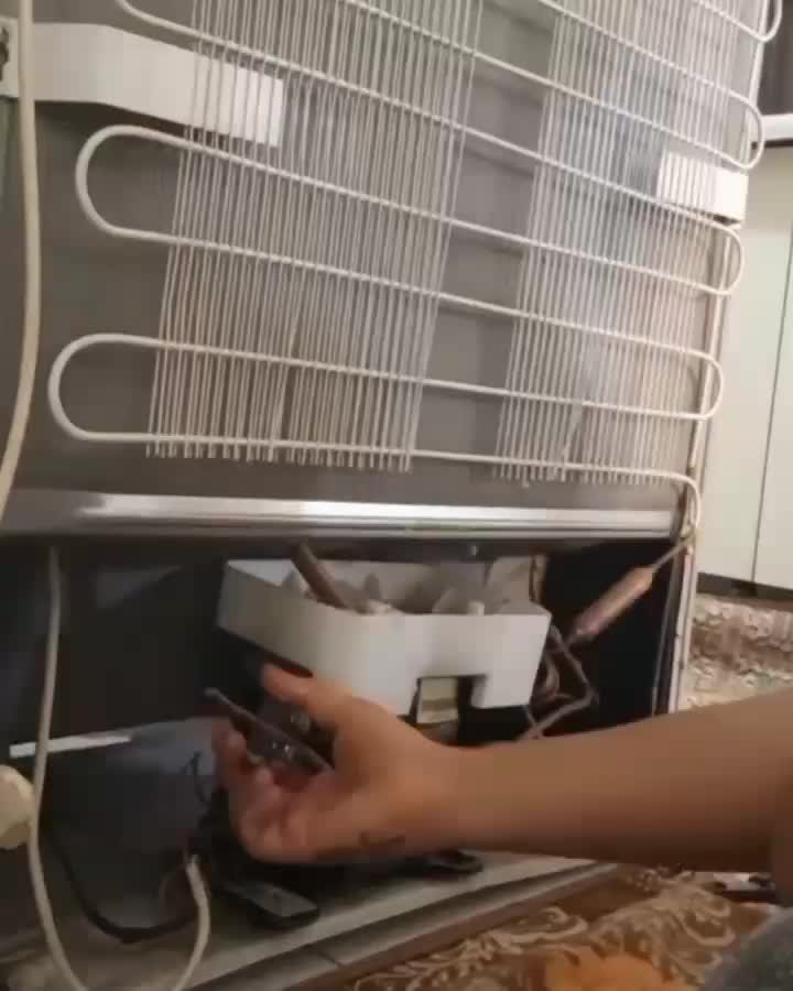 تعمیر یخچال فریزر سرویس کار ساید تعمیرکار (کلشهر)|خدمات پیشه و مهارت|شیراز, دروازه قران|دیوار