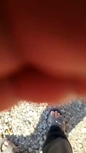 فروش کبوتر|پرنده|یاسوج, |دیوار