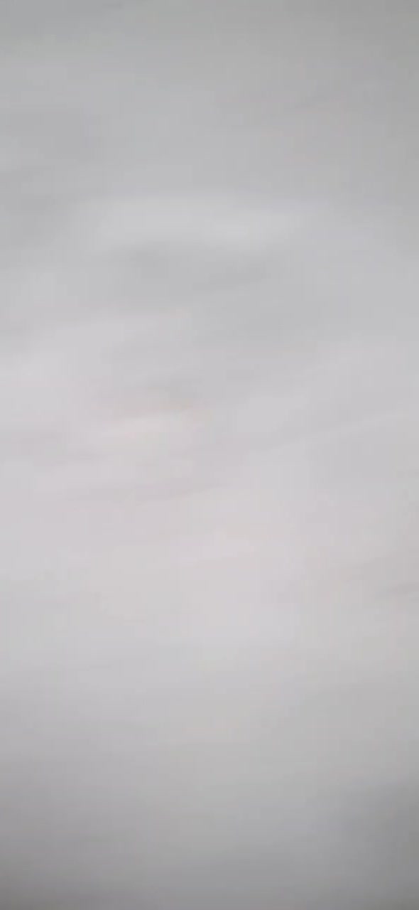 چپ ماده ،هفترنگ نر کفتر|پرنده|اقبالیه, |دیوار