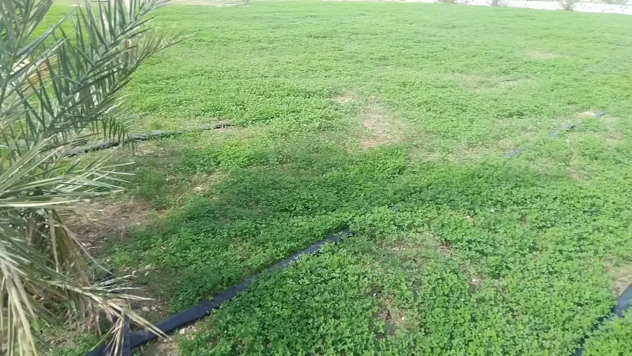 یونجه پرسی|فروش دفتر صنعتی، کشاورزی، تجاری|رودخانه, |دیوار