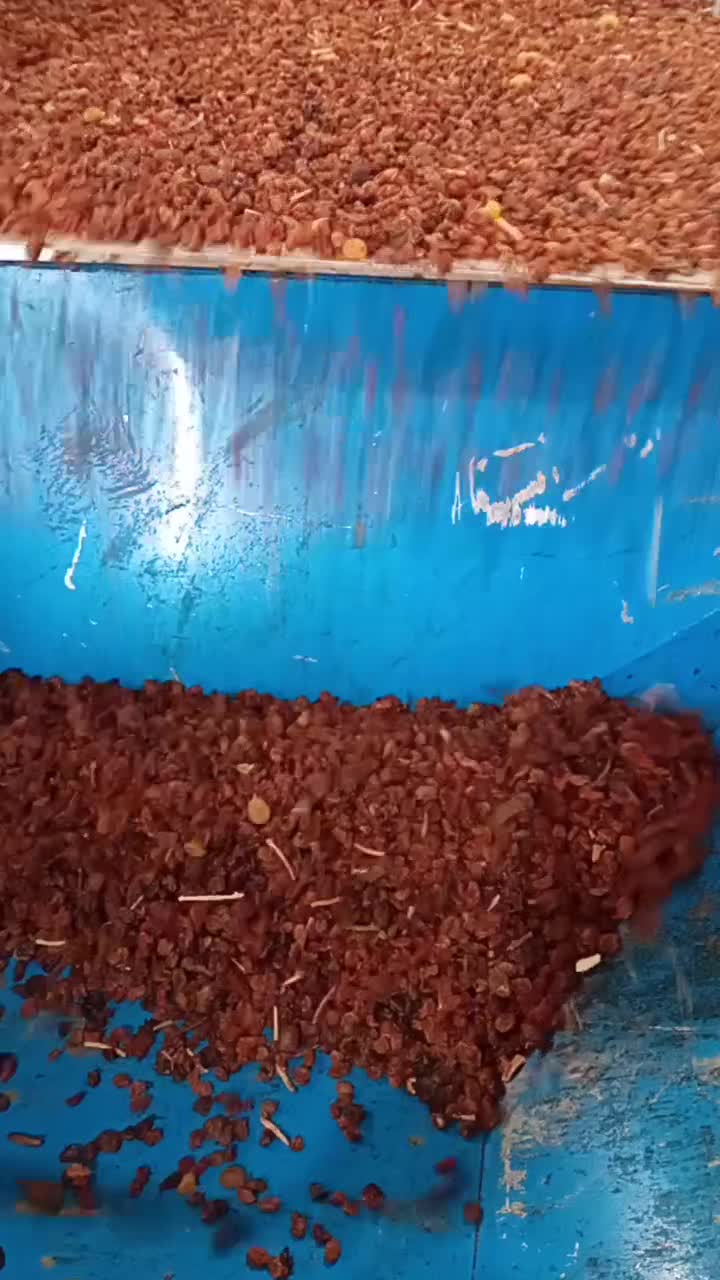 کارگاه تولید و بسته بندی کشمش|خوردنی و آشامیدنی|ملکان, |دیوار