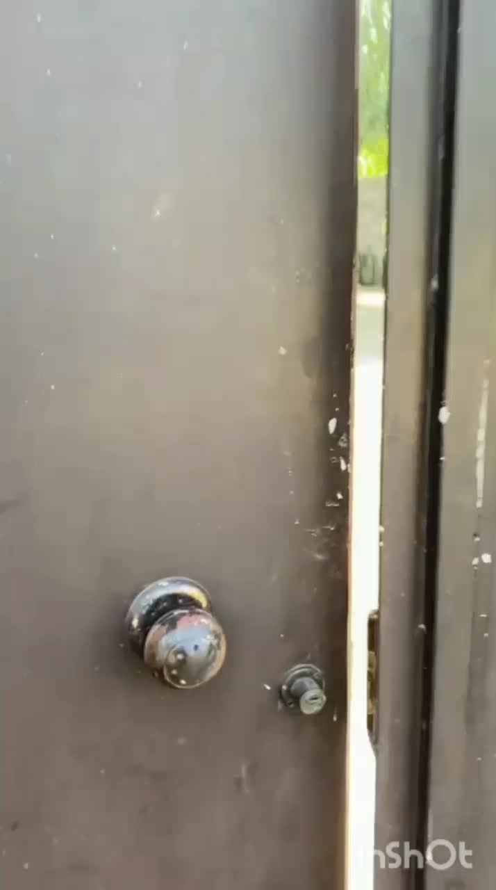 خانه ویلایی روستایی بینظیر در نزدیکی چاف و چمخاله|فروش خانه و ویلا|رودبنه, |دیوار