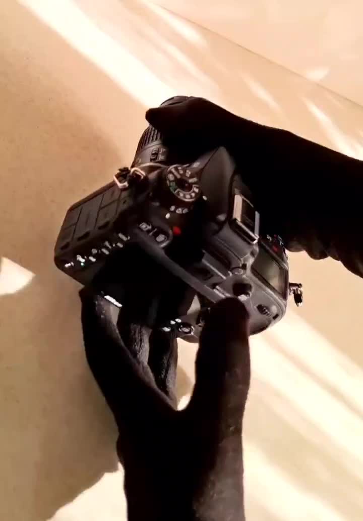 دوربین Nikon d7100 نیکون ۳هزارشات با لنز ۱۸-۵۵|دوربین عکاسی و فیلمبرداری|بجنورد, |دیوار