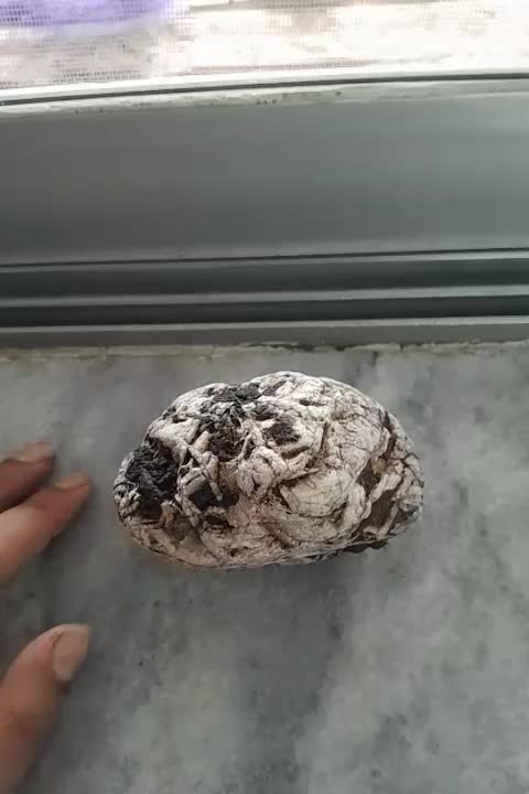 شهاب سنگ|جواهرات|گوراب زرمیخ, |دیوار