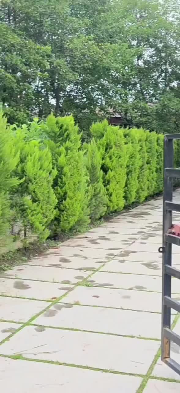 ویلای دوبلکس لوکس ۴خوابه در سلمانشهر|فروش خانه و ویلا|سلمانشهر, |دیوار