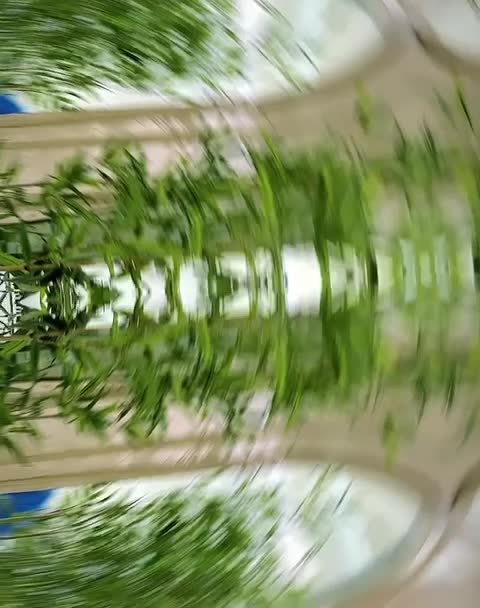 بزرگترین تولیدکننده میز و صندلی کافه رستوران|میز و صندلی غذاخوری|باقرشهر, |دیوار