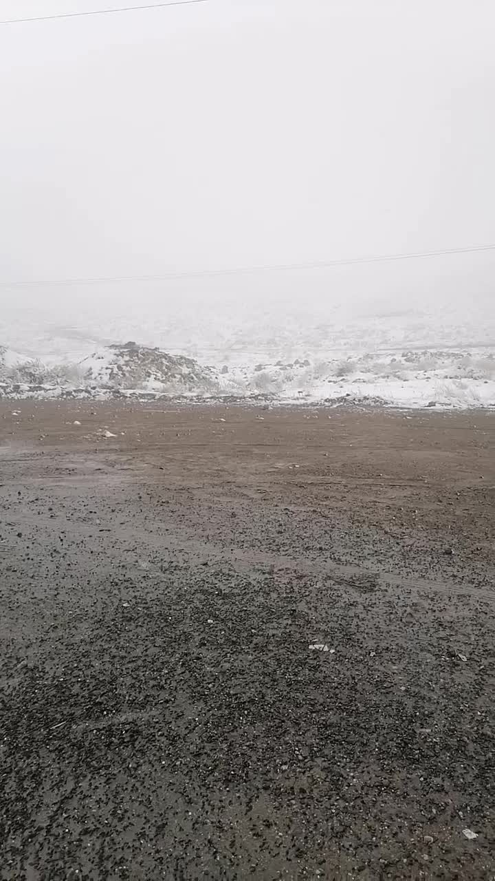 وانت بار|خدمات حمل و نقل|قم, شاد قلی|دیوار