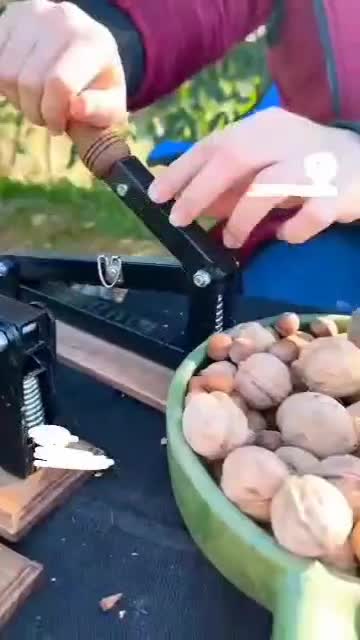 گردو شکن شیک و آسان شکن تضمینی عمده و خرده|ظروف سرو و پذیرایی|یاسوج, |دیوار