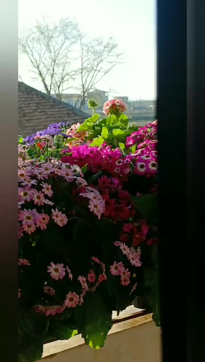 اجاره روزانه وماهانه آپارتمان ۱۲۰ متری(مالک هستم)|اجارهٔ کوتاهمدت آپارتمان و سوئیت|حویق, |دیوار