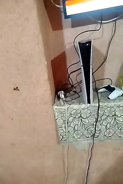 پی اس فایو|کنسول، بازی ویدئویی و آنلاین|میناب, |دیوار