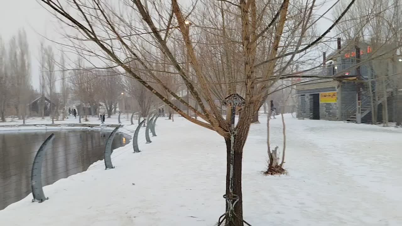 جابه جایی مسافر دربست تمام کشور|خدمات حمل و نقل|بوشهر, |دیوار