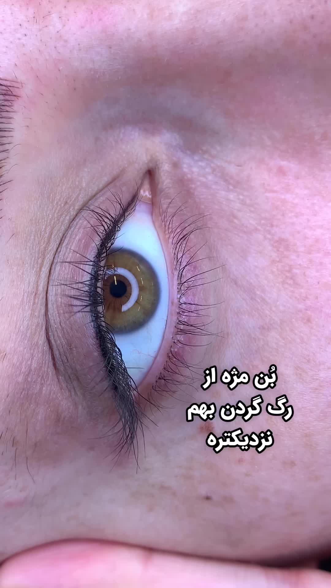 تخفیف فیبروز ابرو|خدمات آرایشگری و زیبایی|رشت, بلوار گیلان|دیوار