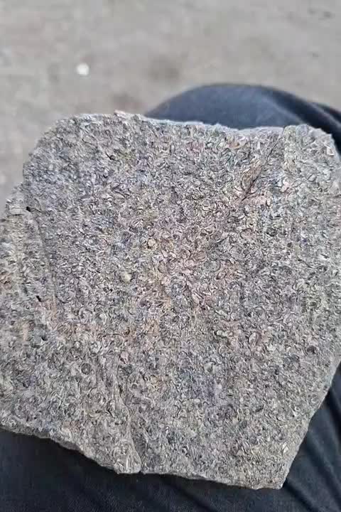 سنگ زیبا|کلکسیون اشیاء عتیقه|دهدشت, |دیوار